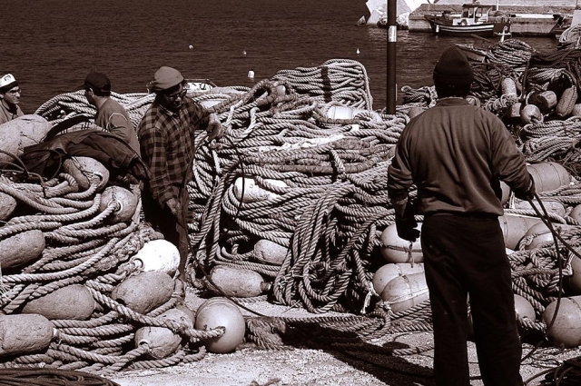 Tecniche di pesca